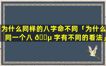 为什么同样的八字命不同「为什么同一个八 🌵 字有不同的看法」